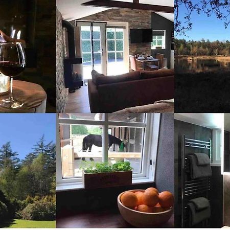 Luxe Natuurhuisje Met Jacuzzi En Haard In Drenthe, Echten Echten  Εξωτερικό φωτογραφία