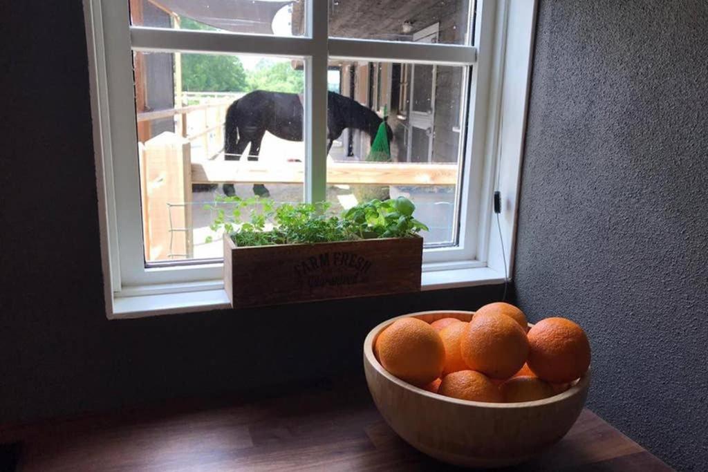 Luxe Natuurhuisje Met Jacuzzi En Haard In Drenthe, Echten Echten  Εξωτερικό φωτογραφία