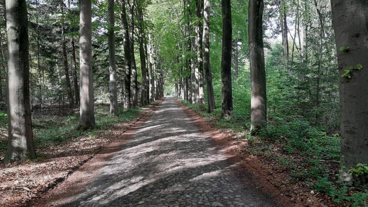 Luxe Natuurhuisje Met Jacuzzi En Haard In Drenthe, Echten Echten  Εξωτερικό φωτογραφία