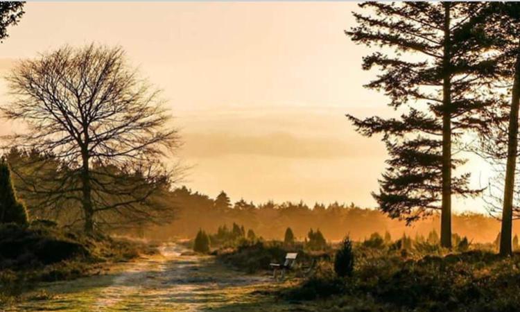 Luxe Natuurhuisje Met Jacuzzi En Haard In Drenthe, Echten Echten  Εξωτερικό φωτογραφία