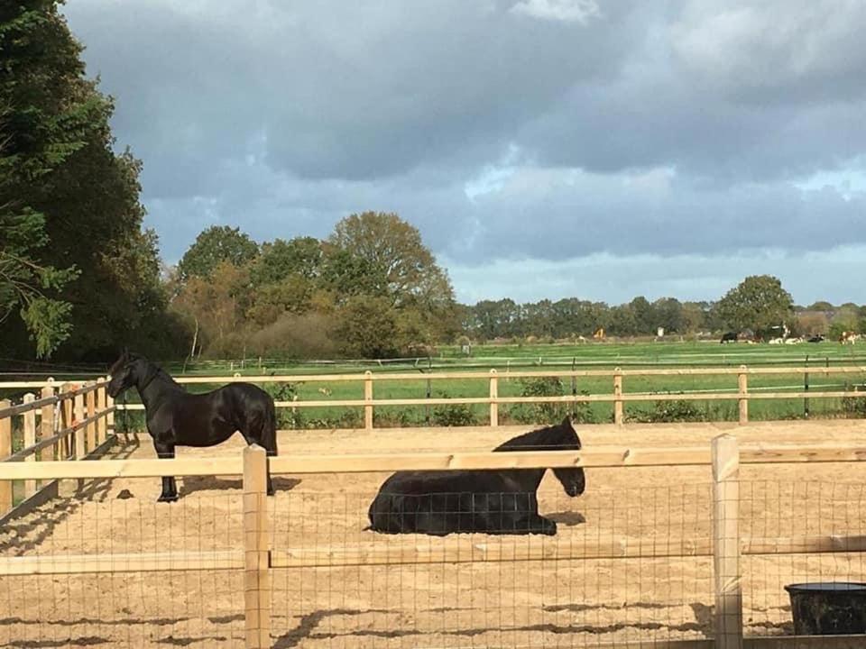 Luxe Natuurhuisje Met Jacuzzi En Haard In Drenthe, Echten Echten  Εξωτερικό φωτογραφία