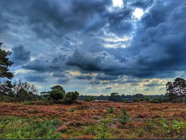Luxe Natuurhuisje Met Jacuzzi En Haard In Drenthe, Echten Echten  Εξωτερικό φωτογραφία