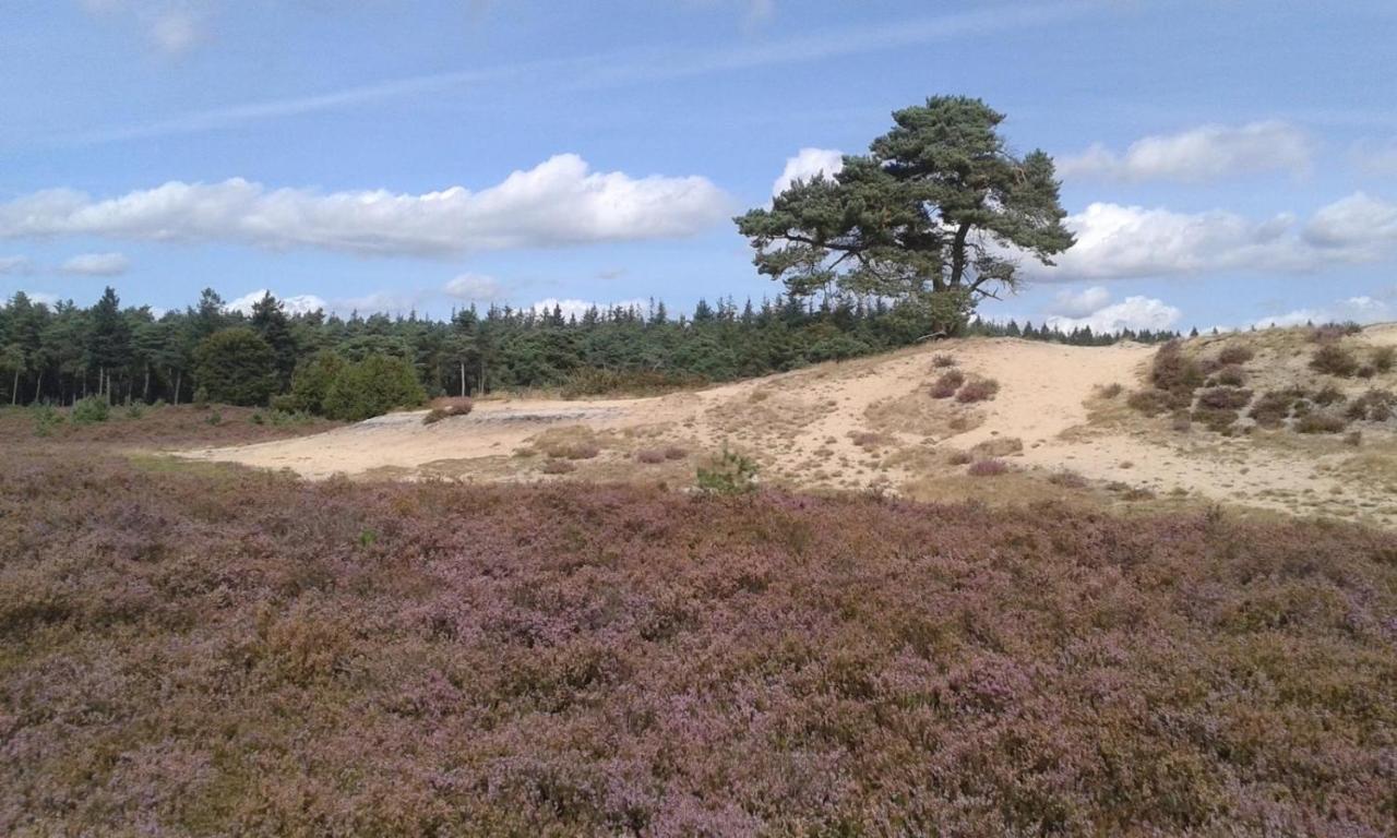 Luxe Natuurhuisje Met Jacuzzi En Haard In Drenthe, Echten Echten  Εξωτερικό φωτογραφία