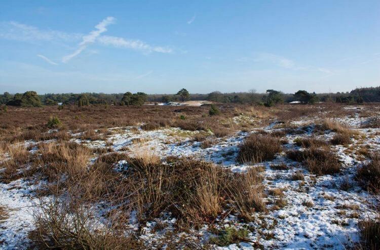 Luxe Natuurhuisje Met Jacuzzi En Haard In Drenthe, Echten Echten  Εξωτερικό φωτογραφία