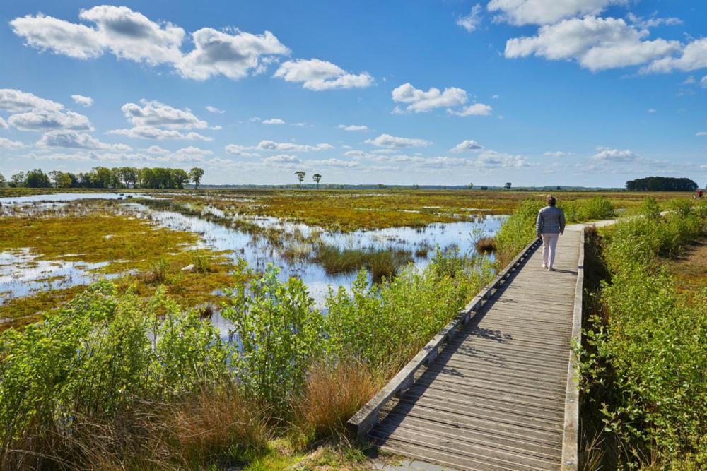 Luxe Natuurhuisje Met Jacuzzi En Haard In Drenthe, Echten Echten  Εξωτερικό φωτογραφία
