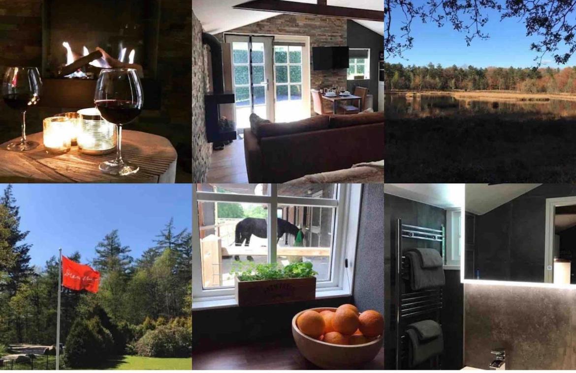 Luxe Natuurhuisje Met Jacuzzi En Haard In Drenthe, Echten Echten  Εξωτερικό φωτογραφία