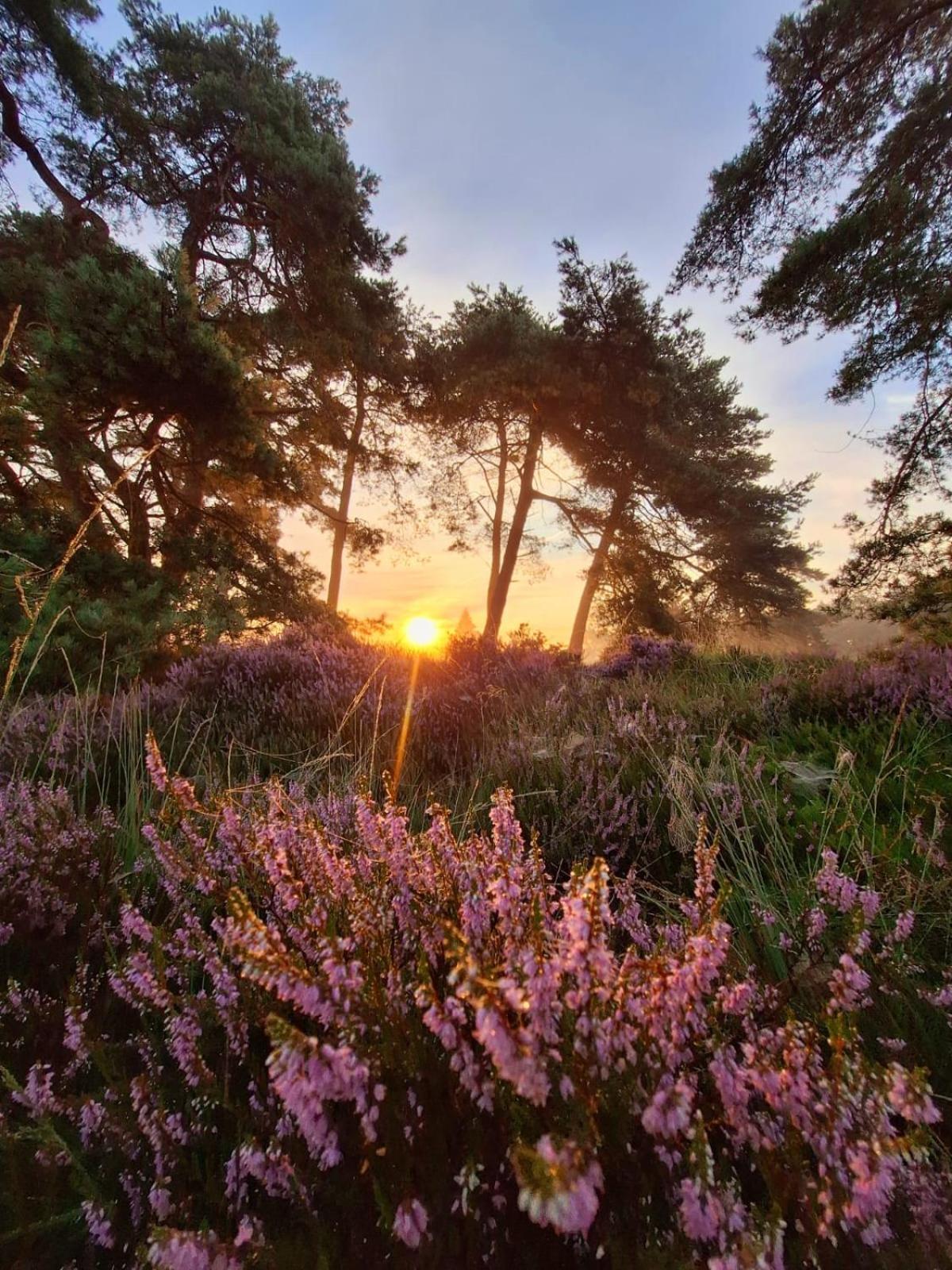Luxe Natuurhuisje Met Jacuzzi En Haard In Drenthe, Echten Echten  Εξωτερικό φωτογραφία