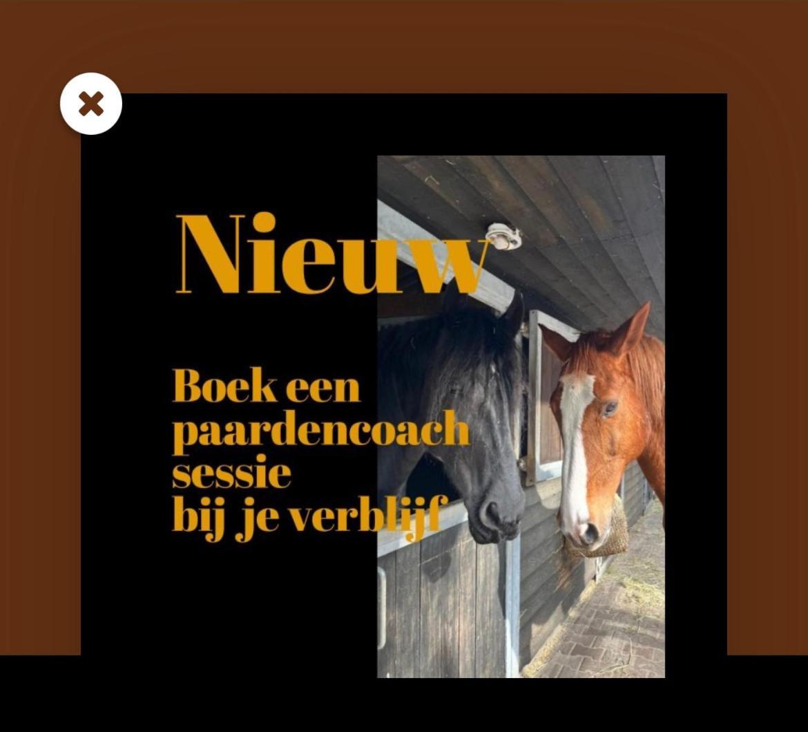 Luxe Natuurhuisje Met Jacuzzi En Haard In Drenthe, Echten Echten  Εξωτερικό φωτογραφία